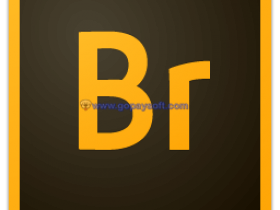 Adobe Bridge CC 2019 v9.0破解版