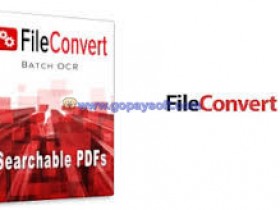 Lucion FileConvert Professional Plus 10.2.0.30破解版