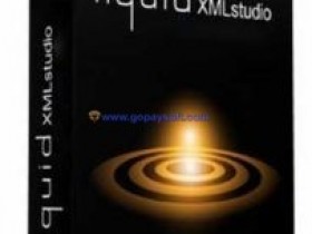 Liquid Studio 2018 v16.1.7.8497破解版