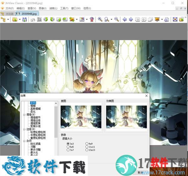 XnView(图片浏览工具) v2.49.4企业破解版下载