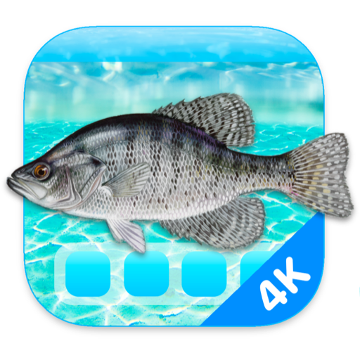 Aquarium 4K for Mac下载-Aquarium 4K for Mac(4K高清屏幕保护工具)