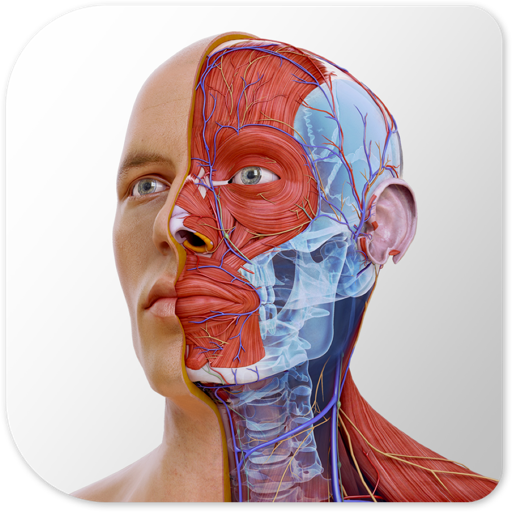 Complete Anatomy 2022 Mac-Complete Anatomy 2022 for Mac(3D医学软件)下载