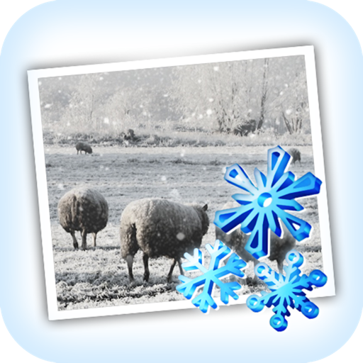 JixiPix Snow Daze下载-JixiPix Snow Daze for Mac(雪景效果制作工具) 