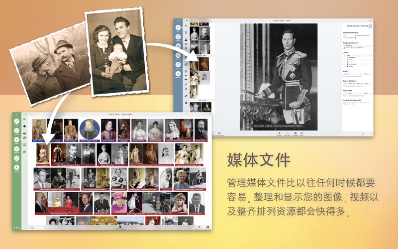 MacFamilyTree Mac 破解版 Mac上最强大的家谱制作软件