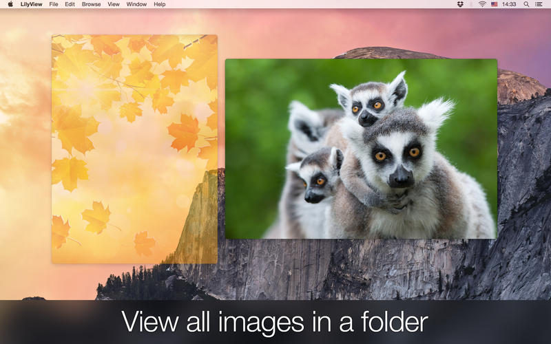 LilyView 1.4.1 Mac 破解版 - Mac 上优秀的轻量级图片浏览工具