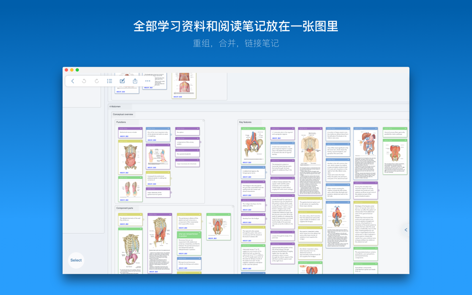 MarginNote 3.4.5 Mac 破解版 一款会重塑学习方式的阅读笔记工具