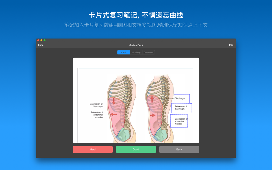 MarginNote 3.4.5 Mac 破解版 一款会重塑学习方式的阅读笔记工具