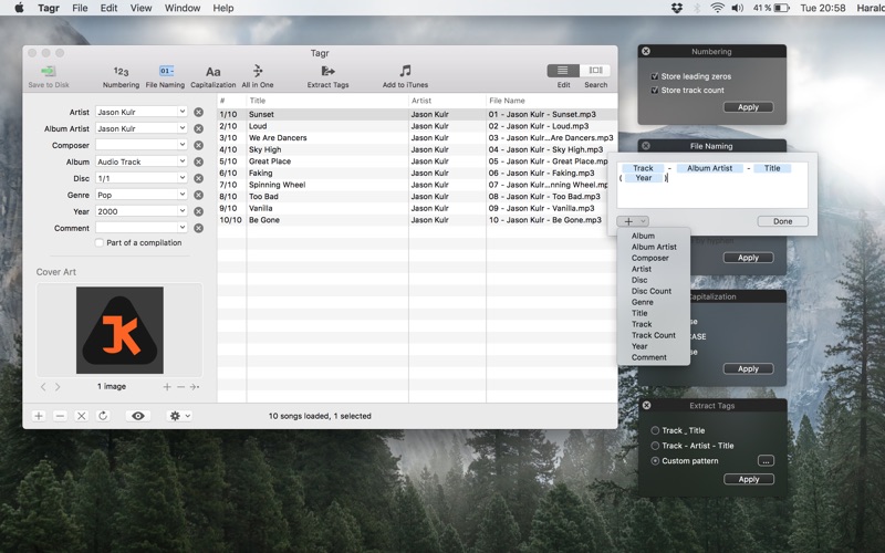 Tagr for Mac 4.11.0 激活版 - MP3/M4A/FLAC整理工具