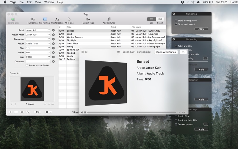 Tagr for Mac 4.11.0 激活版 - MP3/M4A/FLAC整理工具