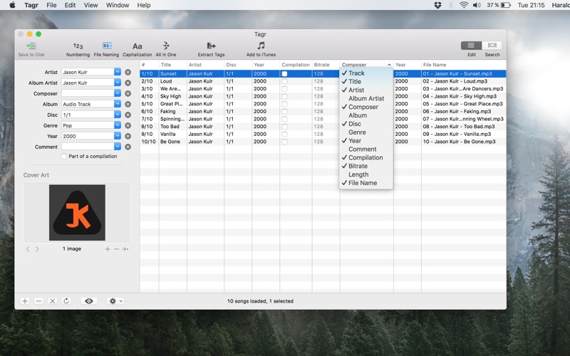 Tagr for Mac 4.11.0 激活版 - MP3/M4A/FLAC整理工具