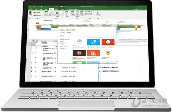 Microsoft Project 2016