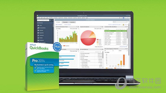 QuickBooks Pro