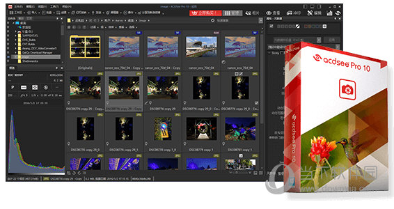 acdsee10破解版下载