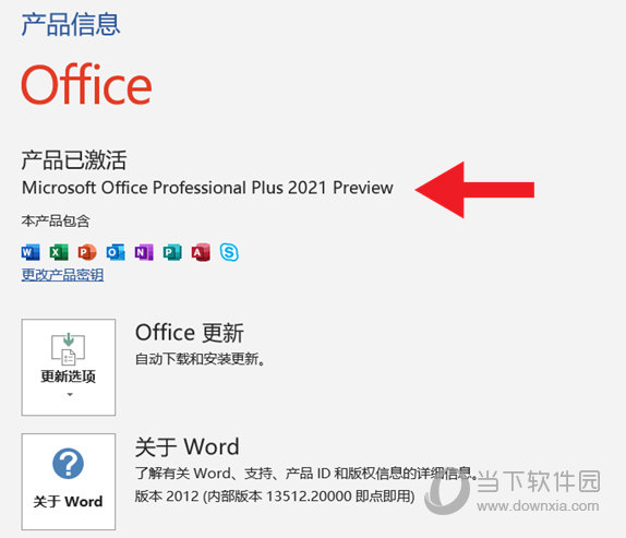 Office2021专业增强版