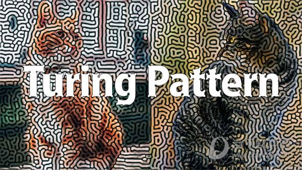 Turing Pattern