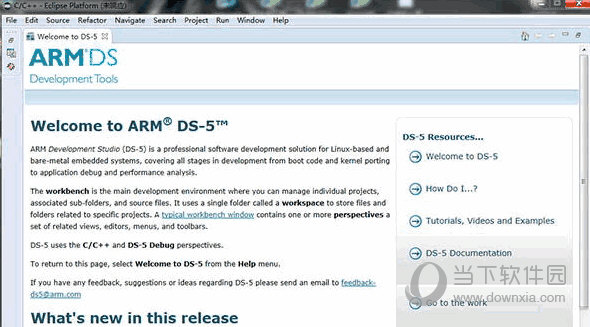 arm ds5