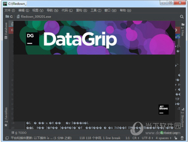 DataGrip2021