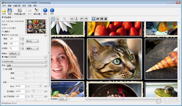 PhotoZoom Pro 6