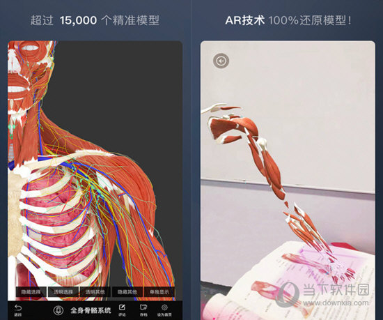 维萨里3D解剖APP