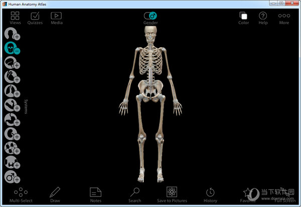 Human Anatomy Atlas