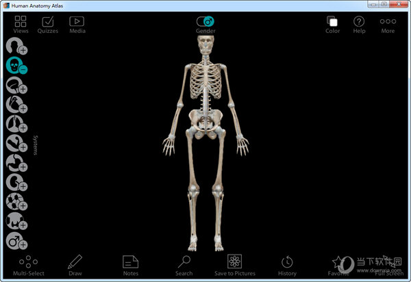 Human Anatomy Atlas