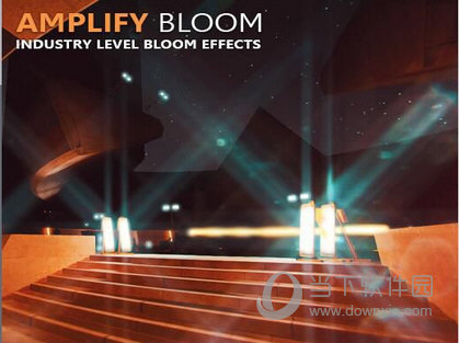 Amplify Bloom