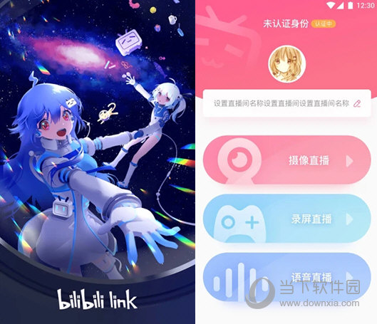 bilibili link