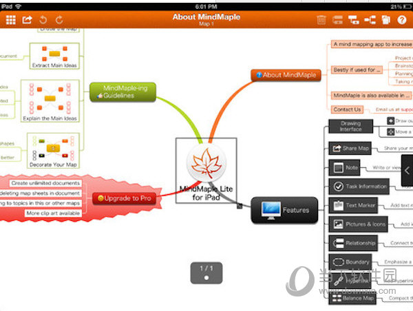 MindMaple MAC版