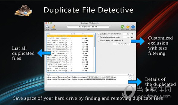 Duplicate File Detective