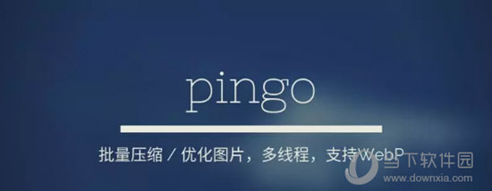 pingo