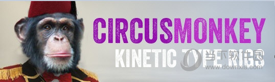 CircusMonkey