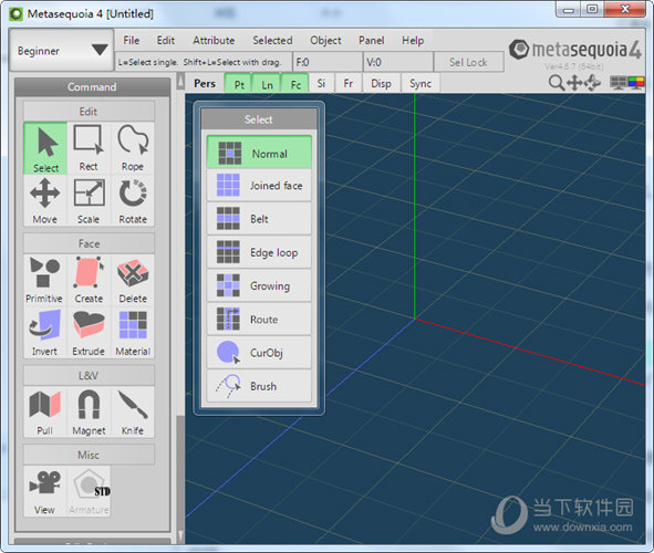 Metasequoia