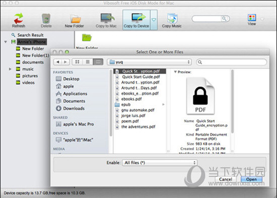 Vibosoft Free iOS Disk Mode