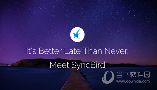 SyncBird