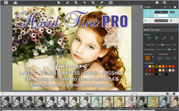 Hand Tint Pro