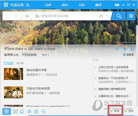 有道词典取词插件