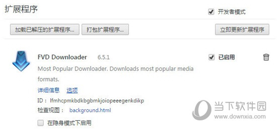 FVD Downloader Chrome插件下载