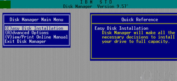 disk manager version