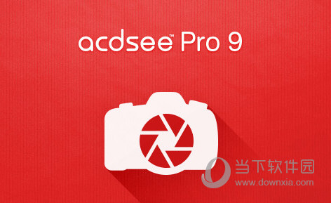 ACDSee Pro 9汉化版