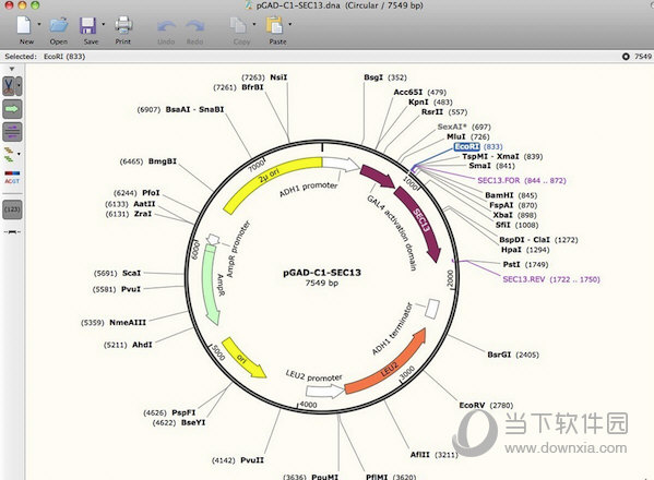 SnapGene for Mac