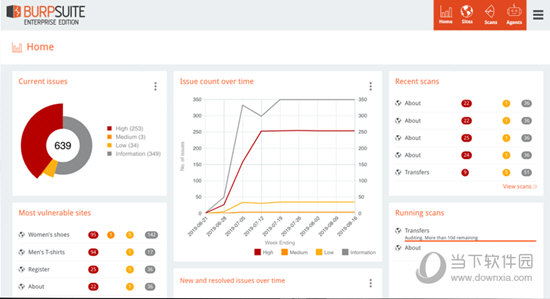 burpsuite pro