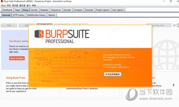 burpsuite pro中文版