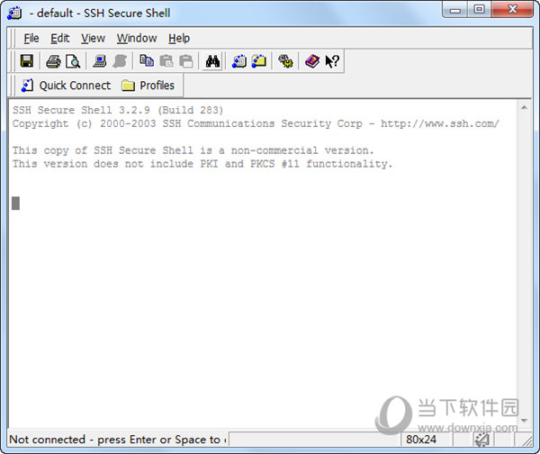 SSH Secure Shell Client 绿色版