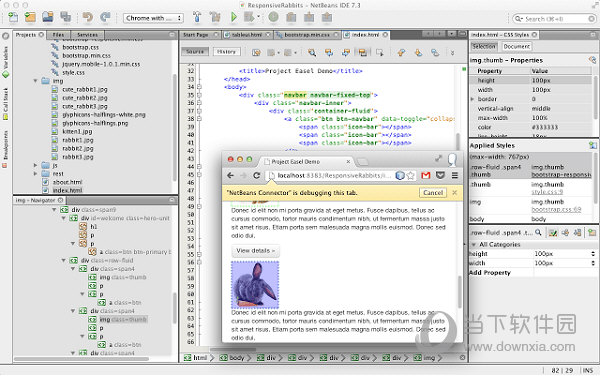 NetBeans Connector Chrome