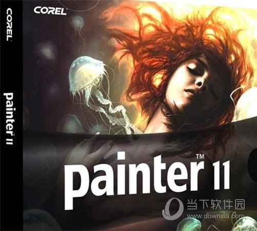 Painter11