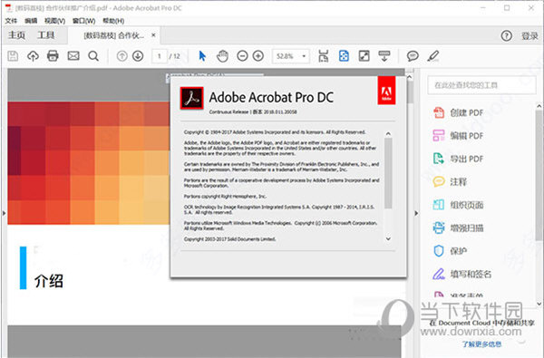 acrobat pro dc2020中文版