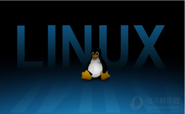 Linux Kernel