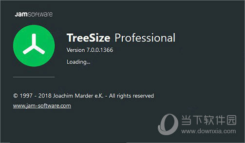 TreeSize Professional