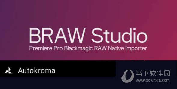 braw studio汉化版