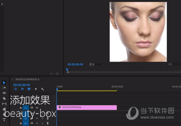 BeautyBox插件Pr版